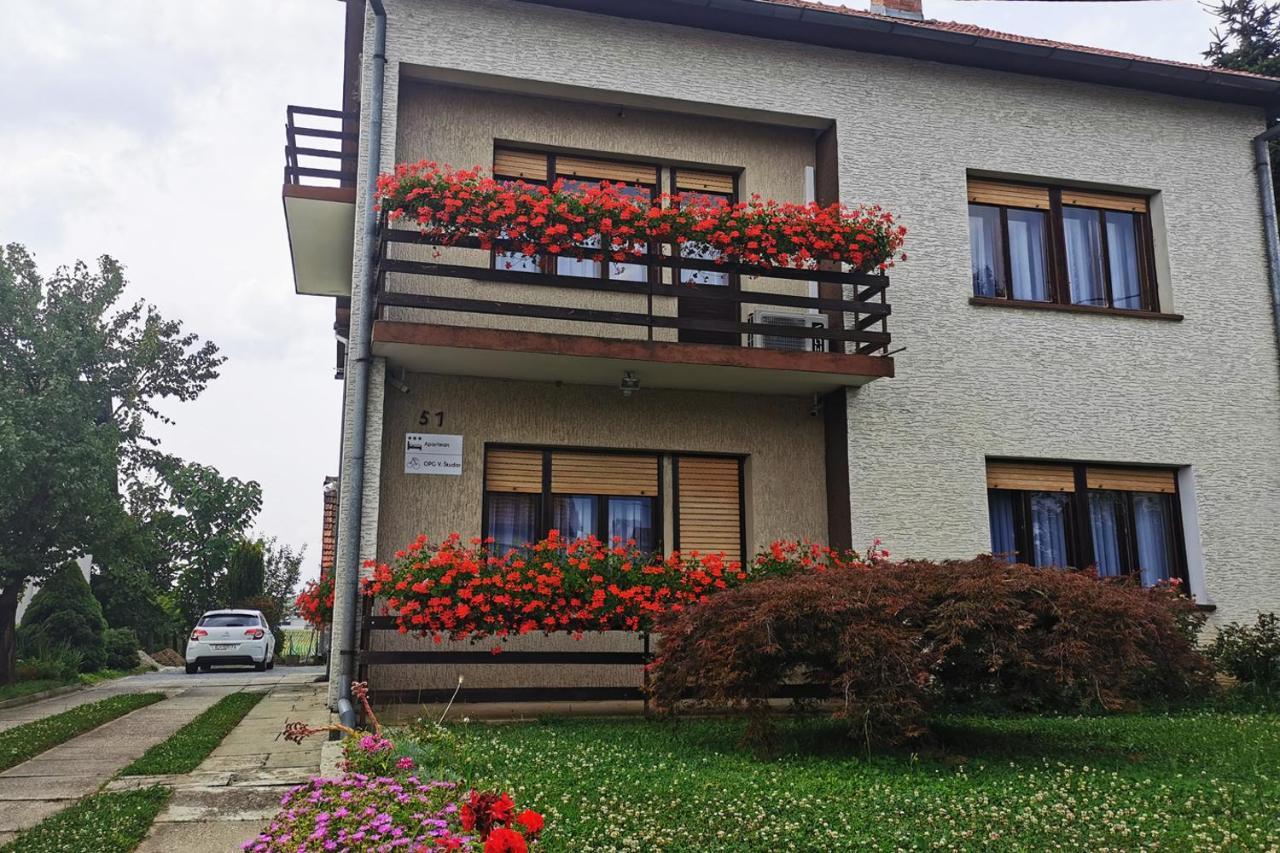 Apartman Skudar 别洛瓦尔 外观 照片